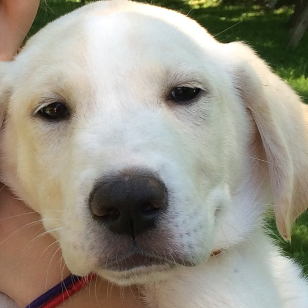 Meet your Posher, Ellie